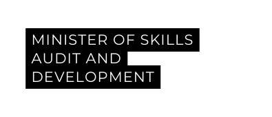 MINISTER OF SKILLS AUDIT AND DEVELOPMENT