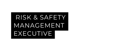 risk Safety management executive